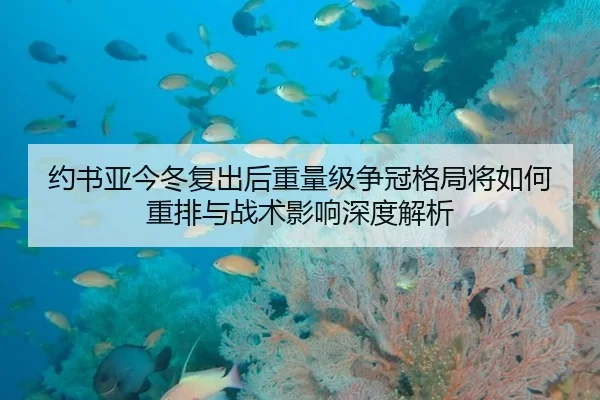 约书亚今冬复出后重量级争冠格局将如何重排与战术影响深度解析
